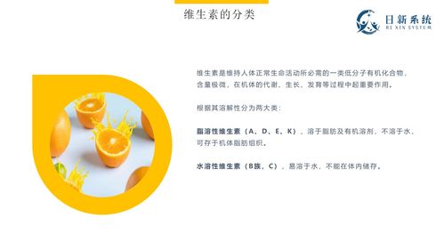 健康管理基礎培訓 第二講 基礎營養知識
